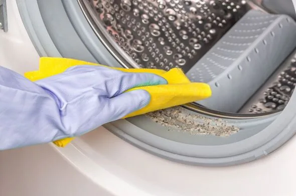 Washing machine scale build-up
